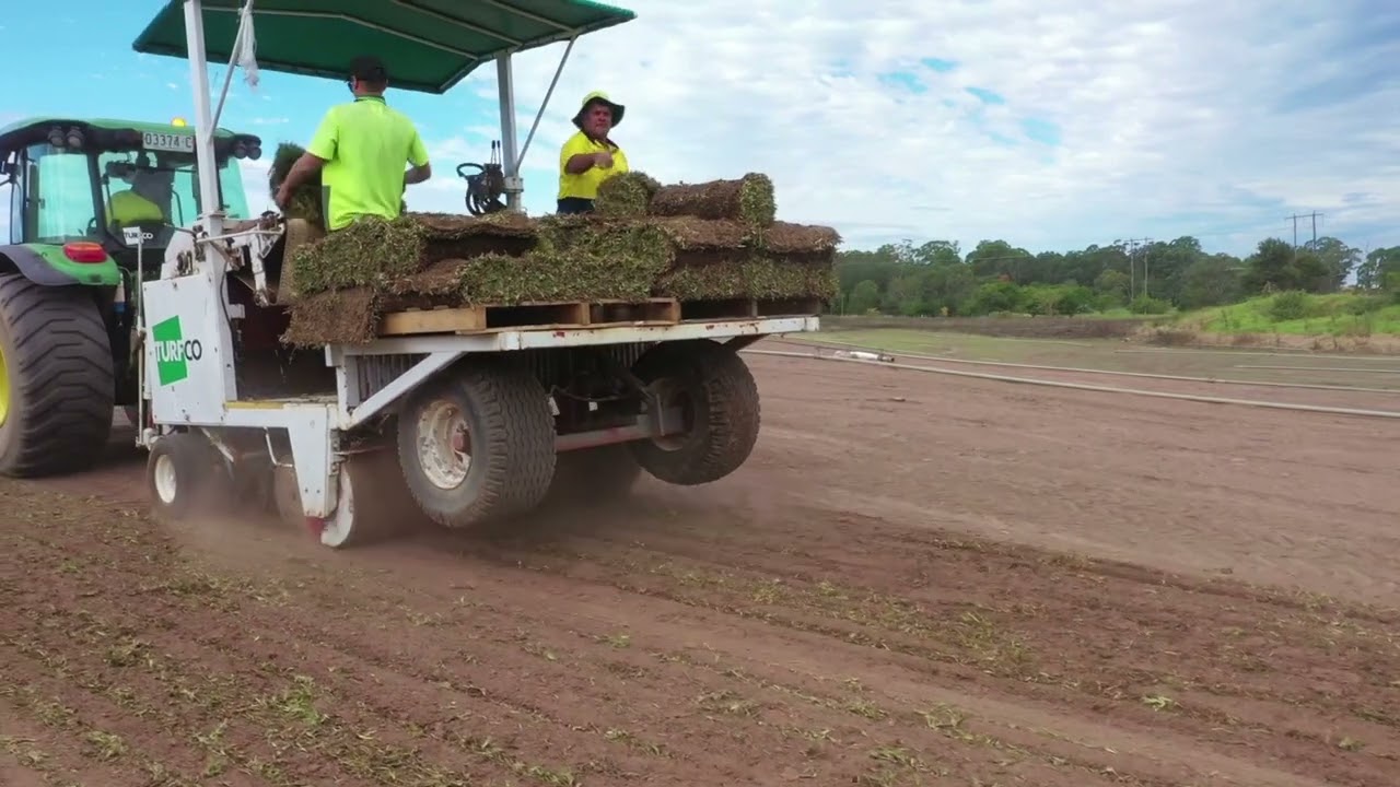 Planting a New Paddock At Turfco