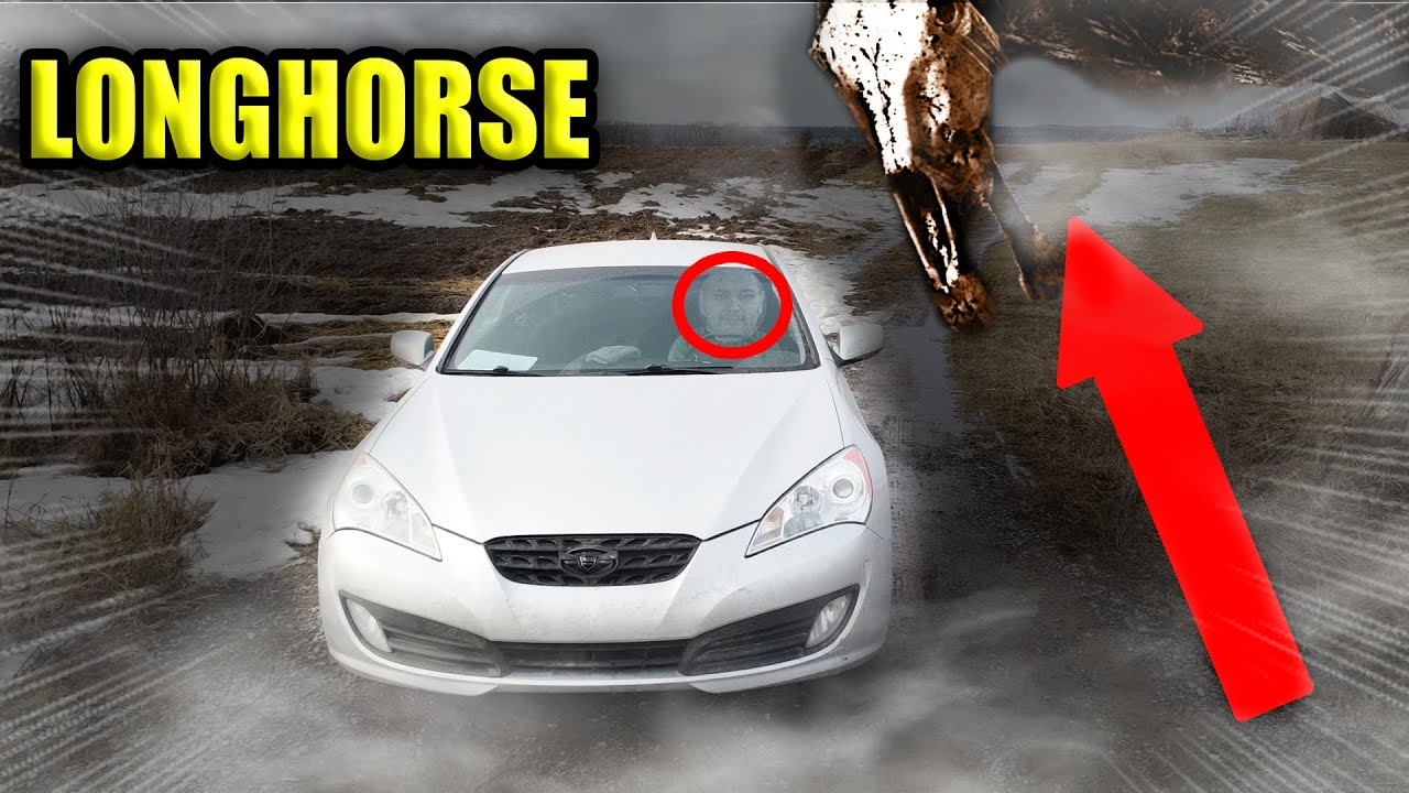 HUNTING FOR THE LONG HORSE GONE WRONG!! * HE ATTACKED ME *