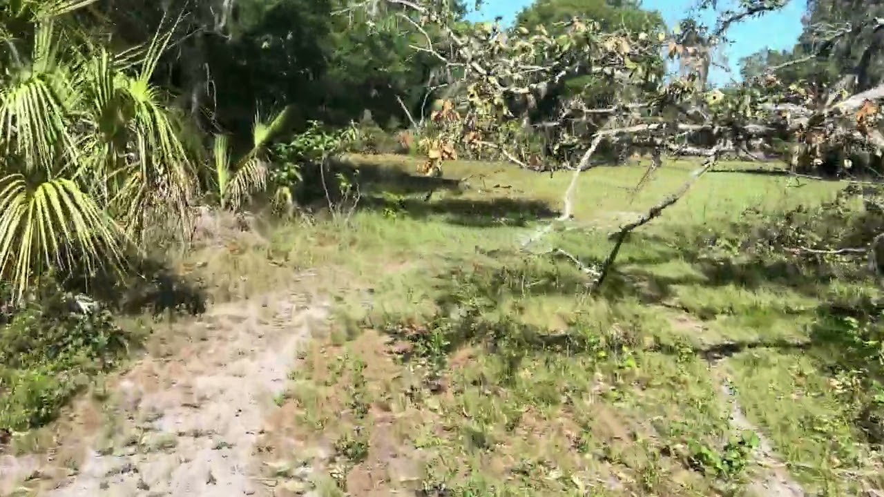 LeaperKim Lynx 66lb ranch patrol chinbar mount