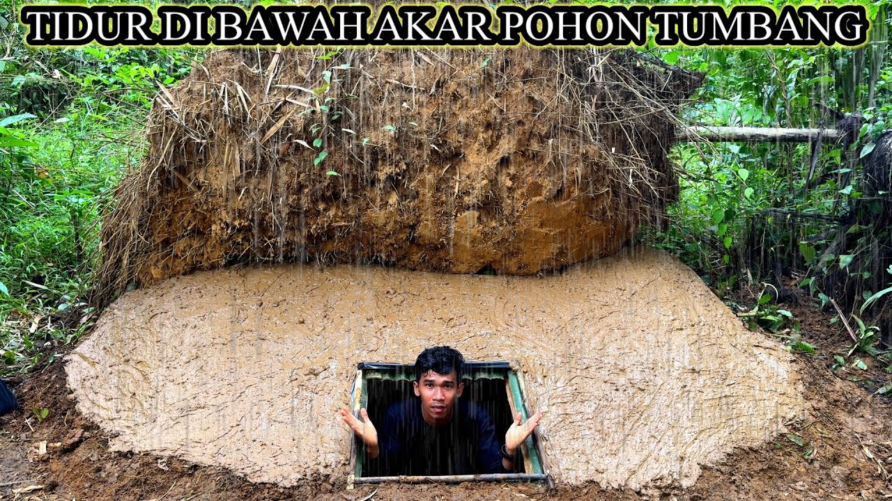 3HARI MEMBUAT TEMPAT TIDUR DI BAWAH AKAR POHON TUMBANG- Di SAAT HUJAN DERAS TURUN