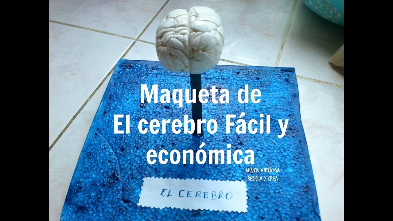 Maqueta de El cerebro fácil, rápida y económica con material reciclado