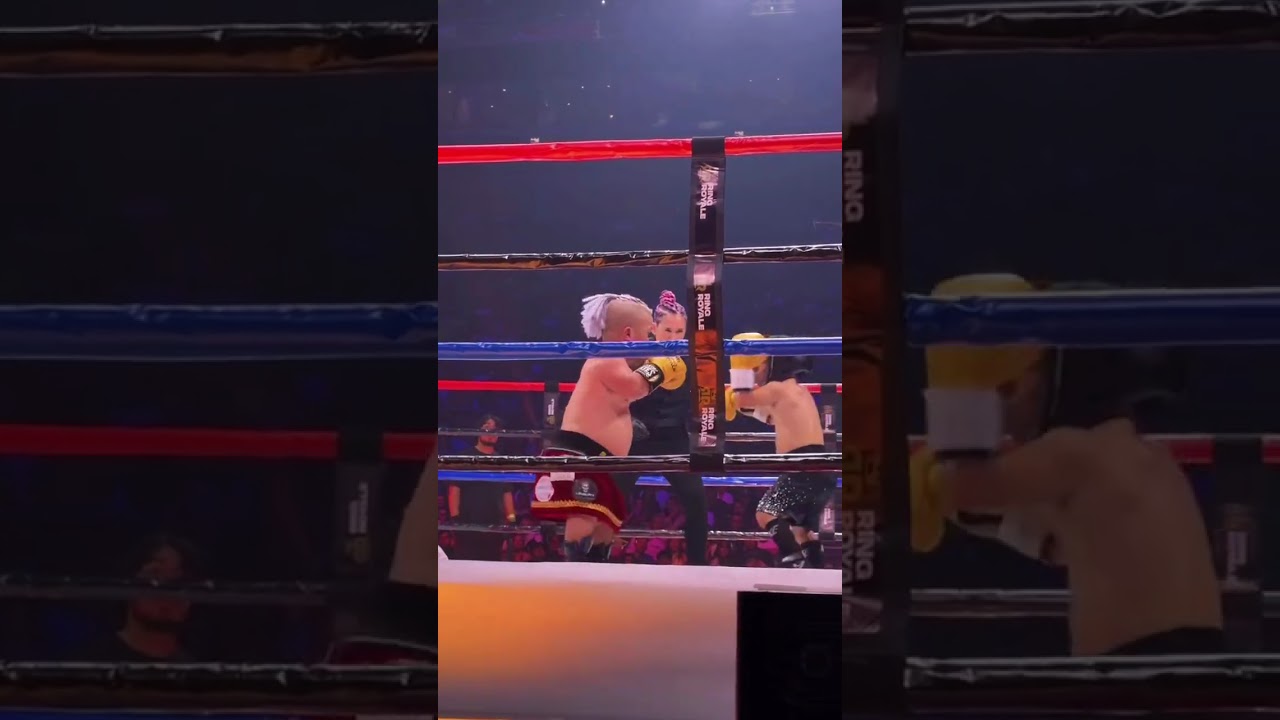 &iquest;ACOMODO O TALENTO? 😱 BullTerrier destruye a Abelito en la pelea del a&ntilde;o.