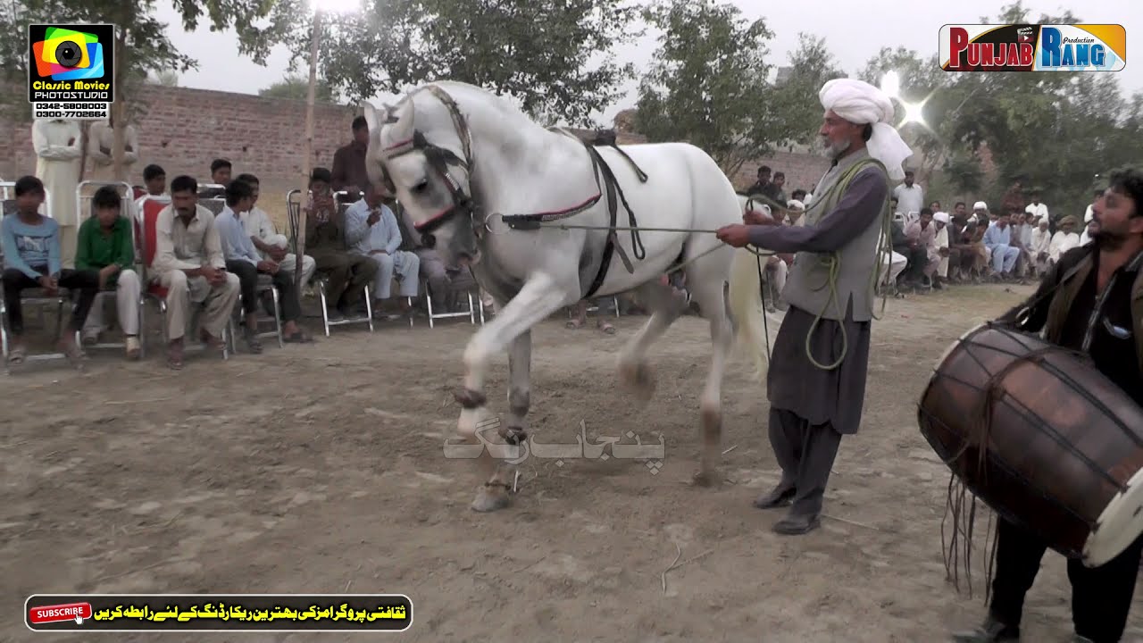Hamza Fakhar e Lahore ll Horse Dance ll Fatiana Okara ll Darabar Baba Muhammad Ali Shah Chishti