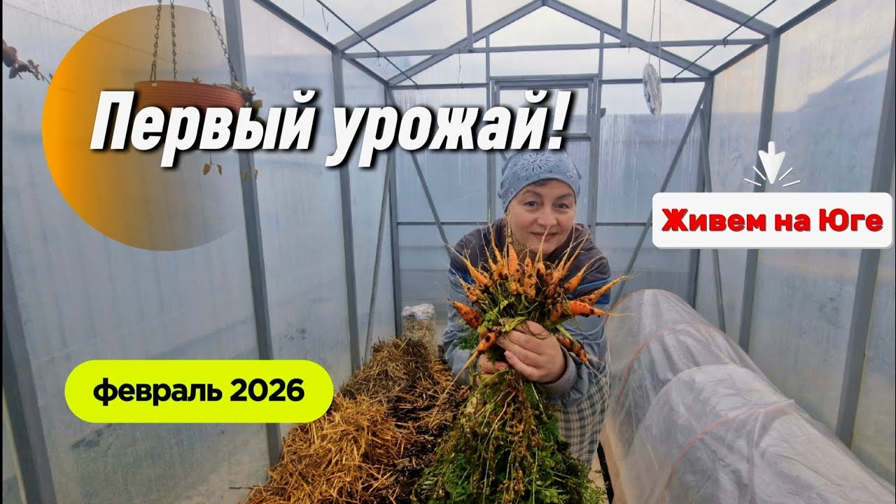 14.02. Первый урожай! Взошла редиска. Весь день в саду и огороде. #натухаевская 