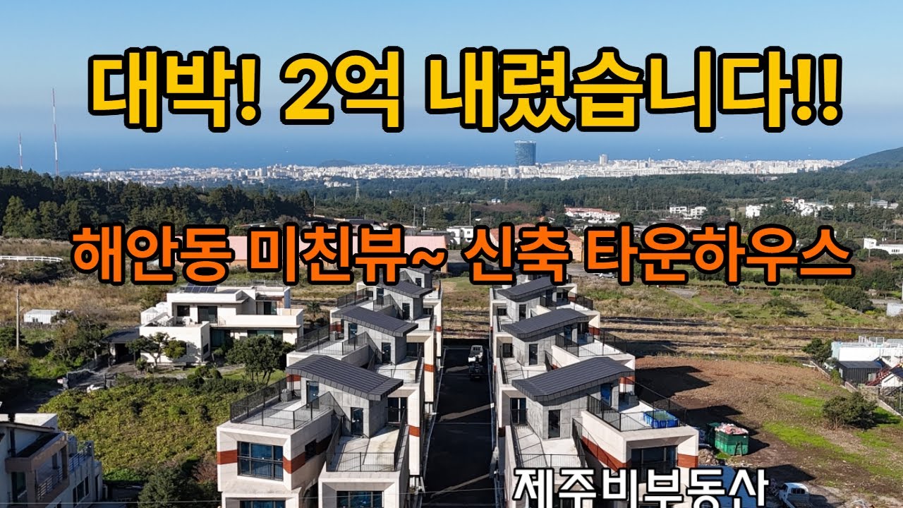 해안동 60평대 신축 고급 단독주택 숲세권과 탁트인 바다뷰 동시에 만족 독특한 내부 구조 [B-2455]