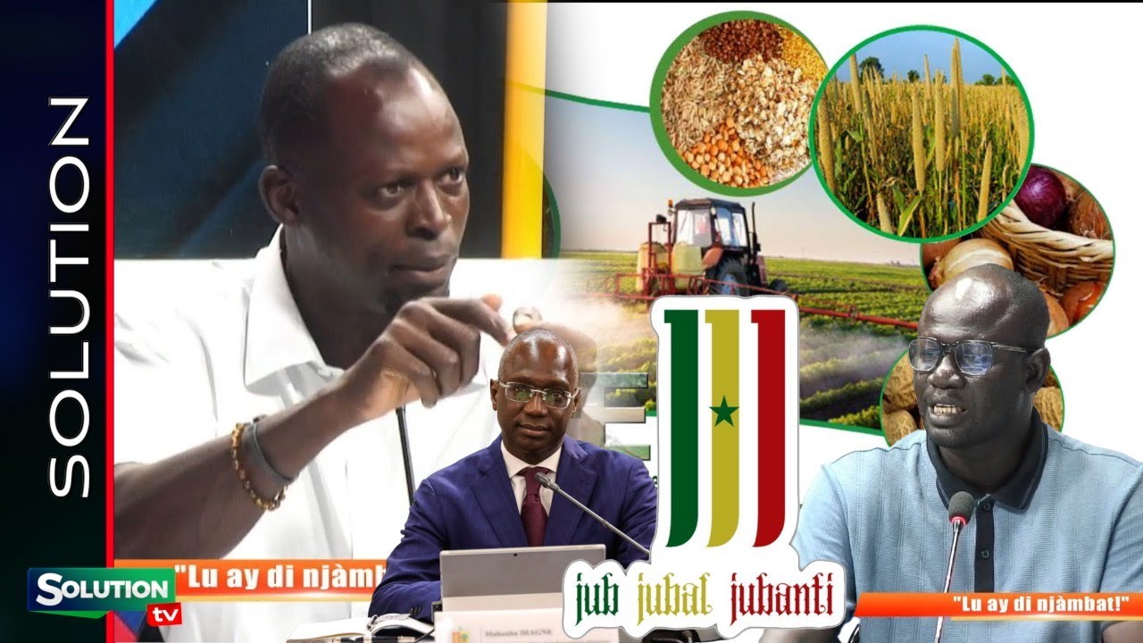 LI MINISTRE BI DEF SI AGRICULTUR BI....BI MABOUBA NIEUWE BA LEGUI SENEGAL DAFA....
