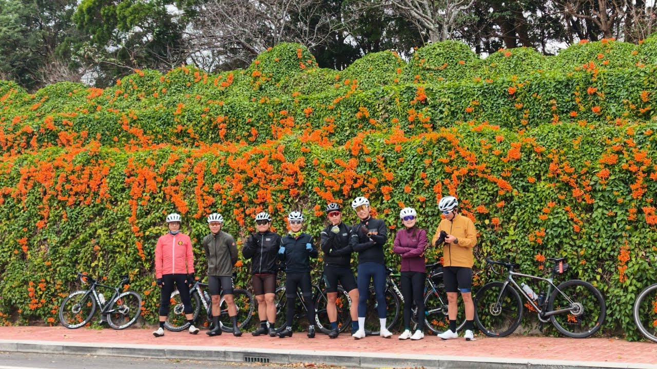 大衛單車-加強版*2好望角