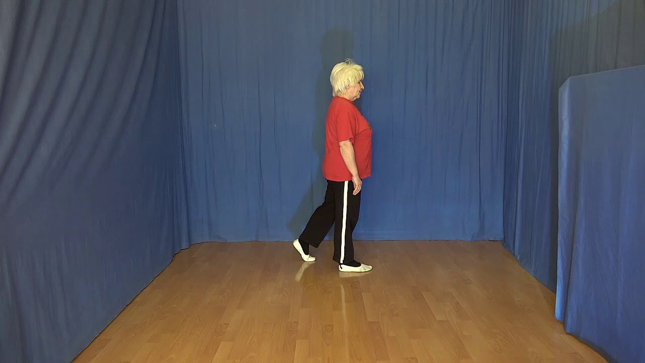 Line Dance deutsch  Anything For Love