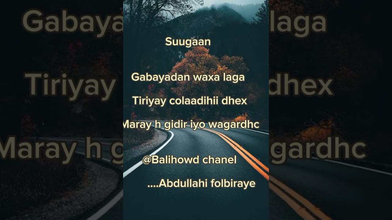 Gabay : Wagardhac vs habar Gidir.