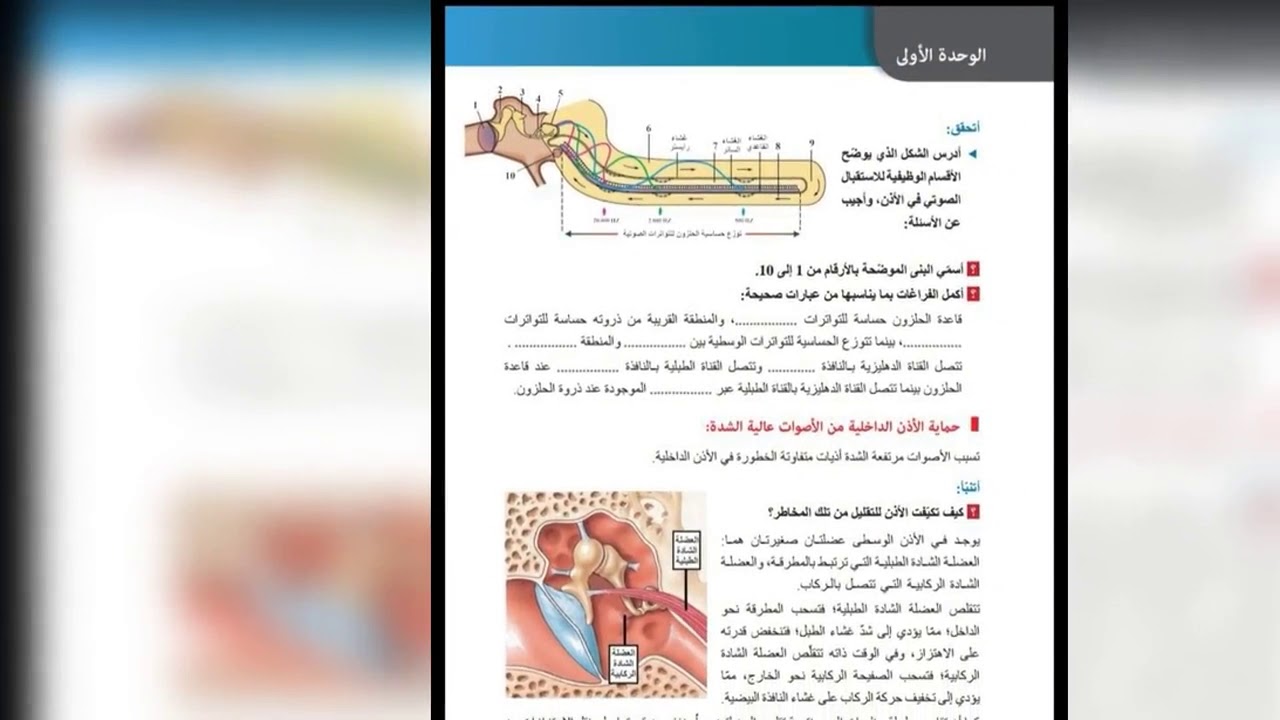 بكالوريا علوم المستقبلات الصوتية ومستقبلات التوازن(2)🧠💯✍️