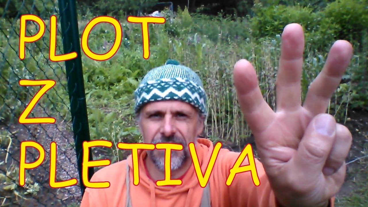 Stavba plotu z pletiva - jak postavit plot svépomocí