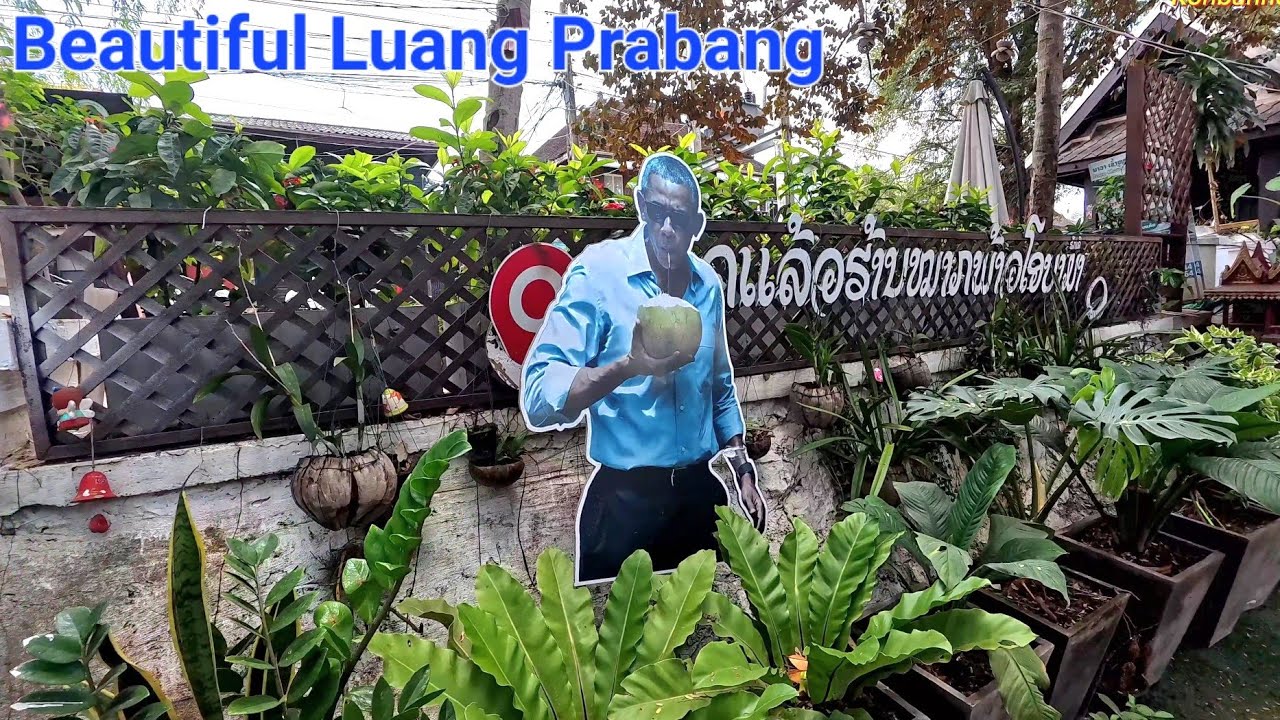 Visiting the beautiful Heritage Luang Prabang and finally had Obama coconut.