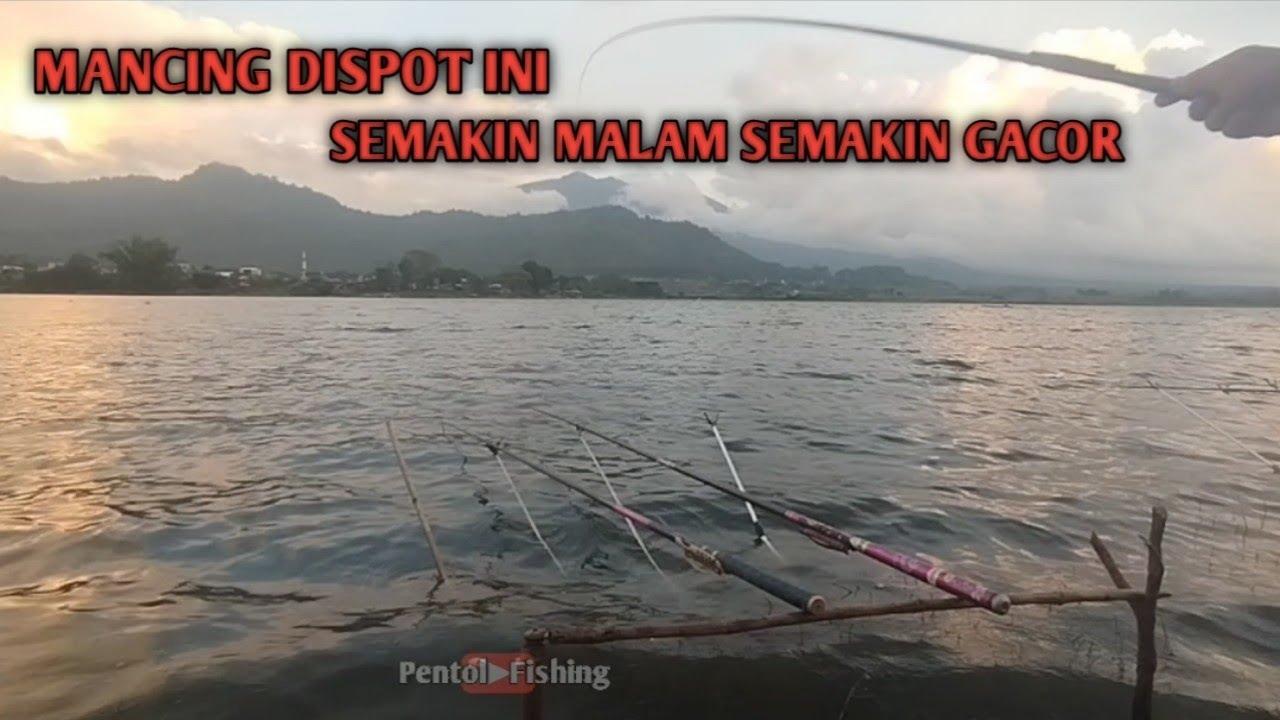 Mancing Dispot Ini Tidak Pernah Menghianati Hasil nya// Mancing Di Waduk Selorejo ngantang malang