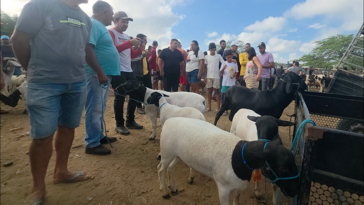 FEIRA DA VILA JERIMUM TAQUARITINGA DO NORTE-PE 15/03/2026 A MELHOR DA REGIÃO 