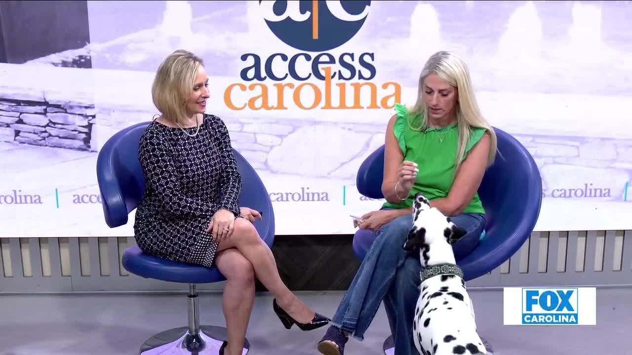 Vote for local Dalmation in the running for America's Favorite Pet Contest