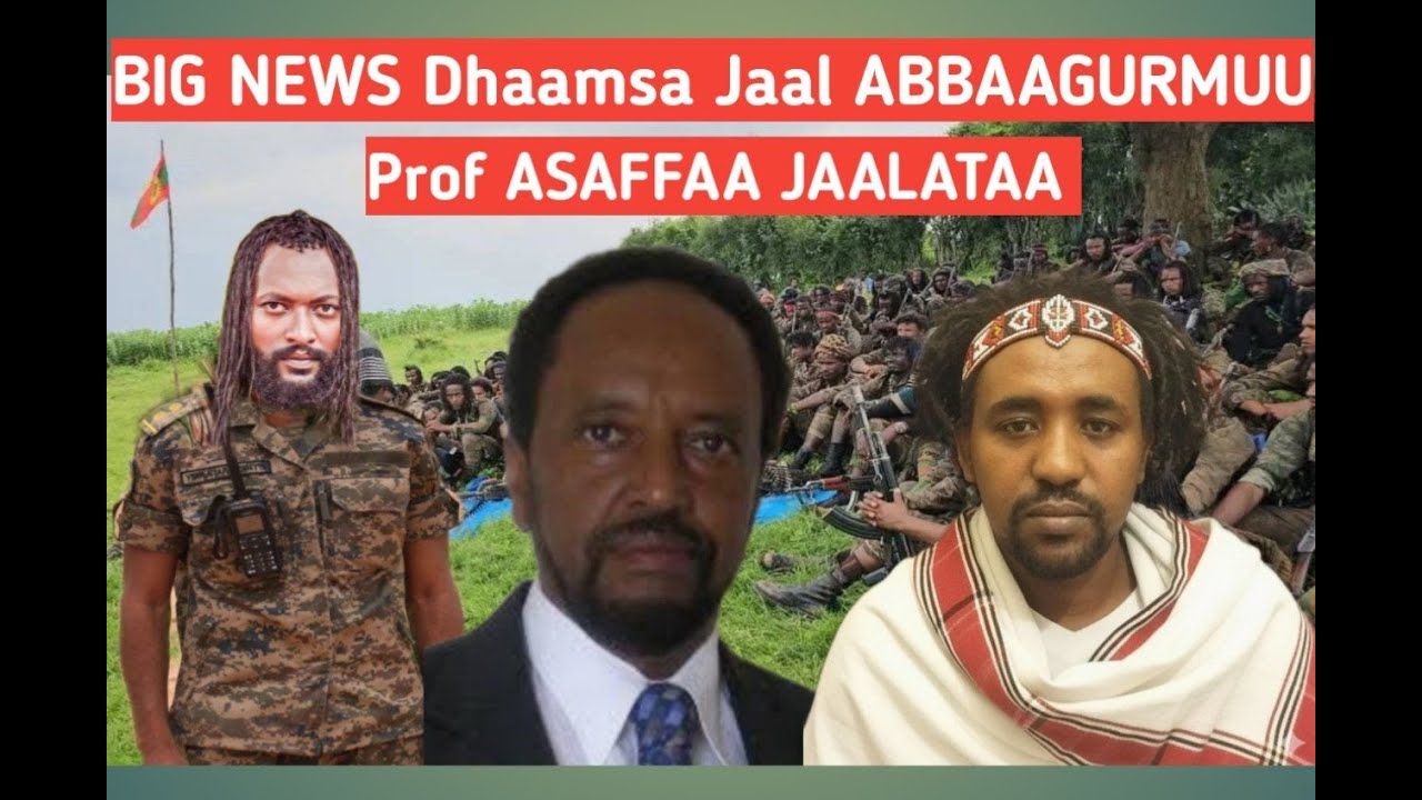 BIG NEWS dhaamsa jabaa  Jaal Abbaagurmuu  fi prof ASAFFAA JAALATAA Haala yeroo irratti mormii jabaa