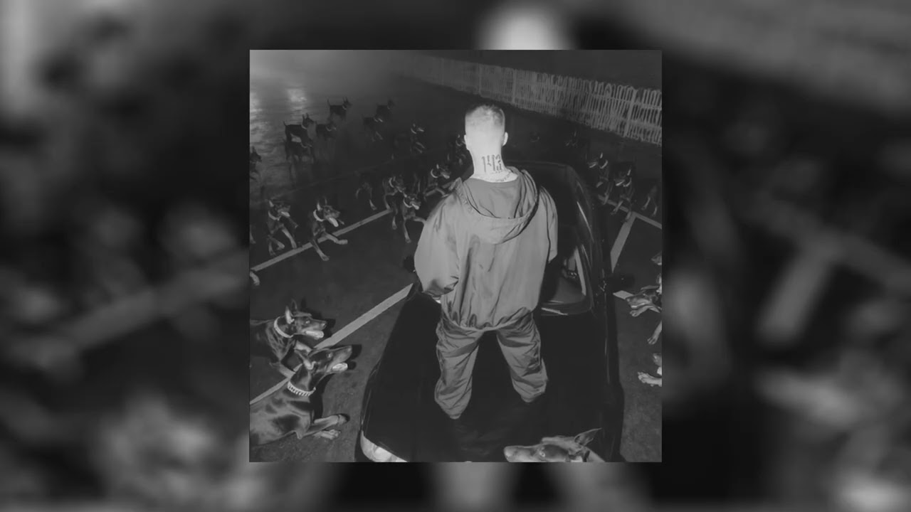 [FREE] 