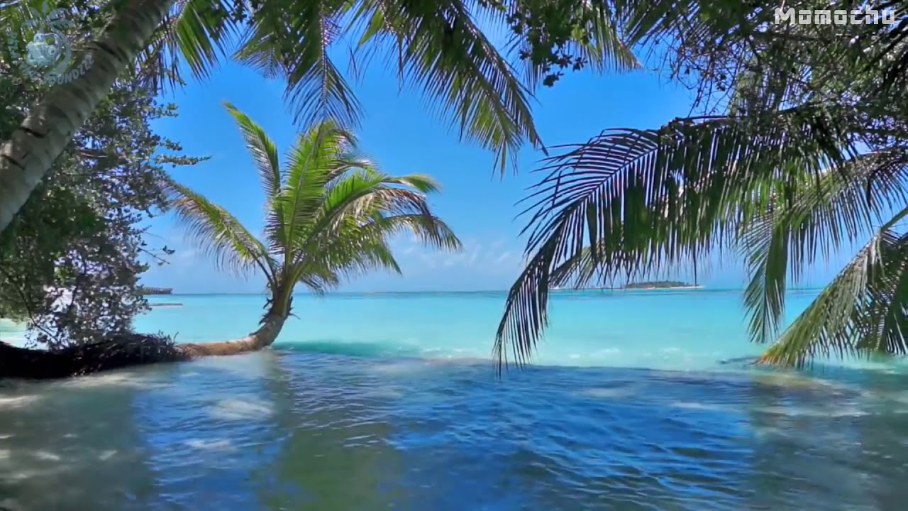 【白噪音】