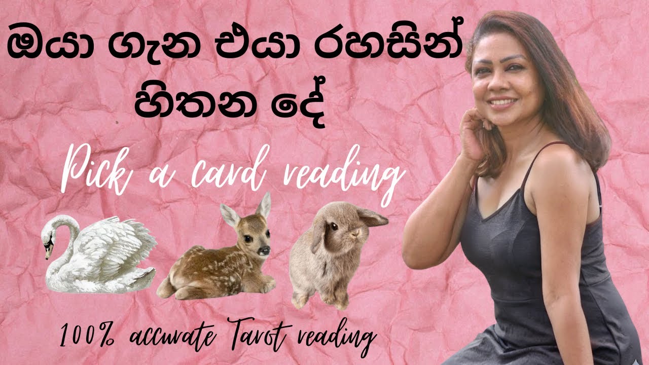 ඔයා ගැන එයා රහසේම හිතන දේ 💭✨ | Pick a Card Tarot#lovereadingsinhala #mydivineguidance 