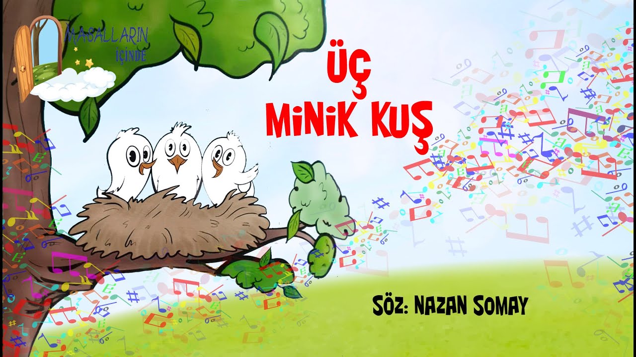 Üç Minik Kuş Şarkısı 🎵 | Pır Pır, Cik Cik, Pıt Pıt Rengarenk Olmak İstiyor!