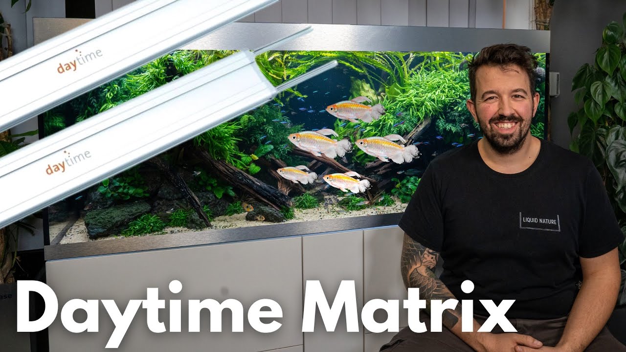 Daytime Matrix Vorstellung! Die beste LED für geschlossene Aquarien! | Liquid Nature