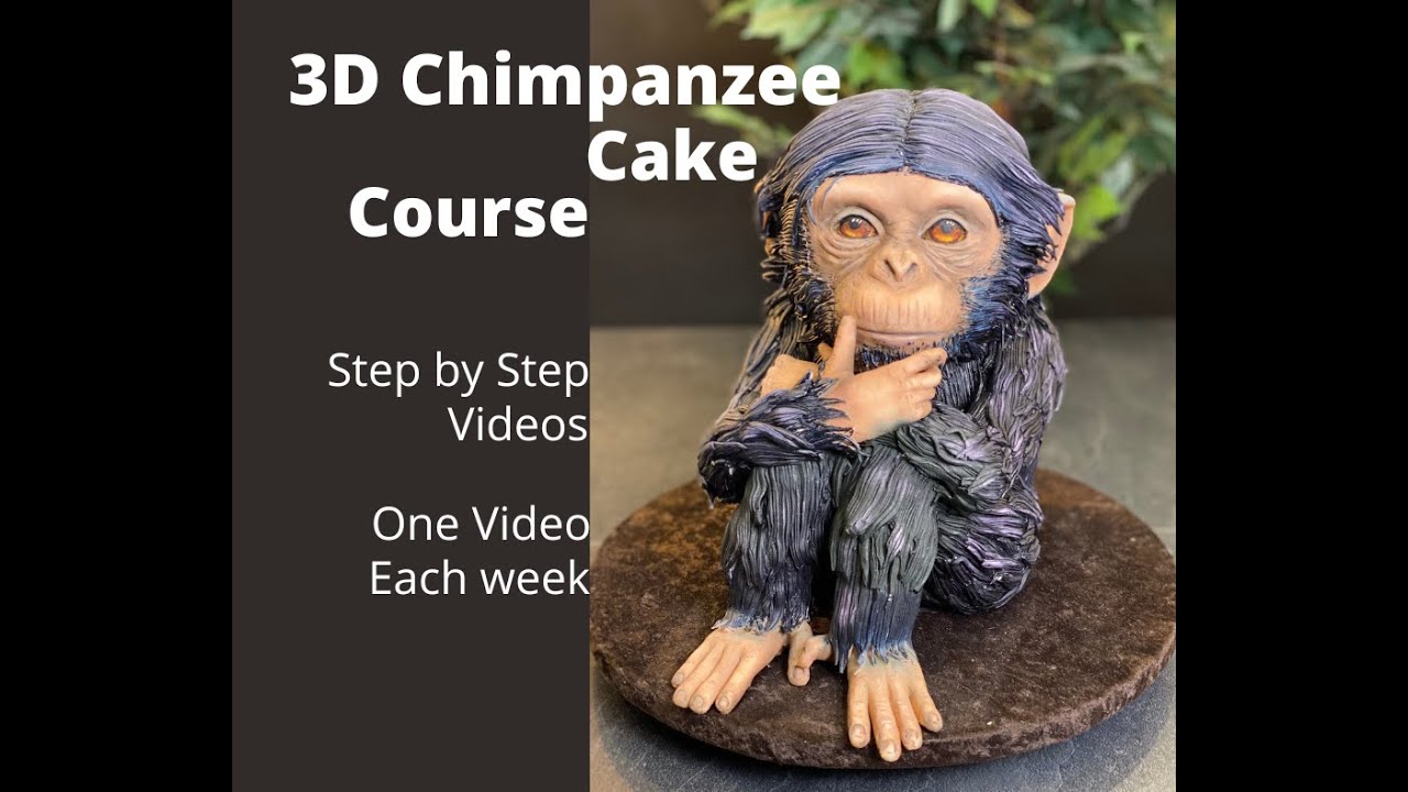 3D CHIMPANZEE CAKE TUTORIAL - PART 1/10 (Plan and Construction) | FULL 3D CAKE TUTORIAL