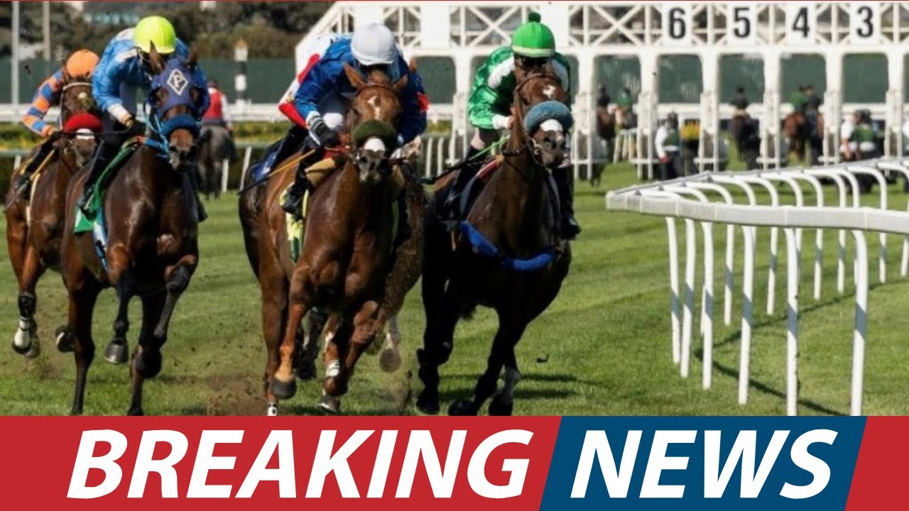 Northern CA Horse Racing Dates in Jeopardy  CHRB vs  Bernal Park Explained