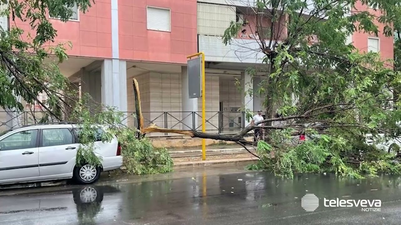 Maltempo nella BAT, ad Andria si allaga il centro commerciale: riaperto stamattina