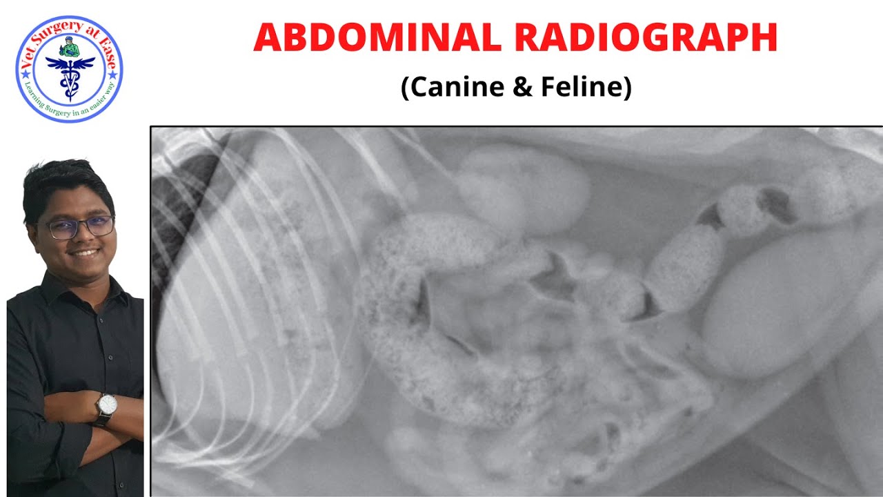 Abdomen | Radiology | Lecture 01