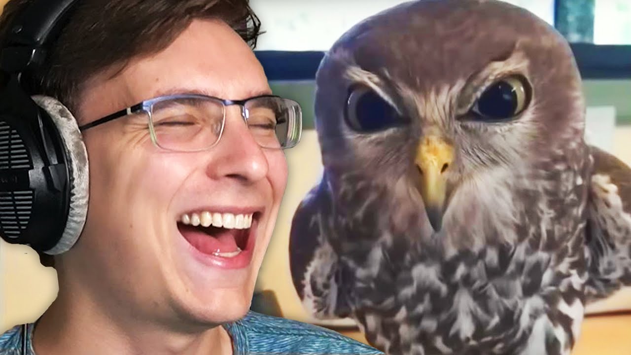 Ranking Your STRANGEST TikToks