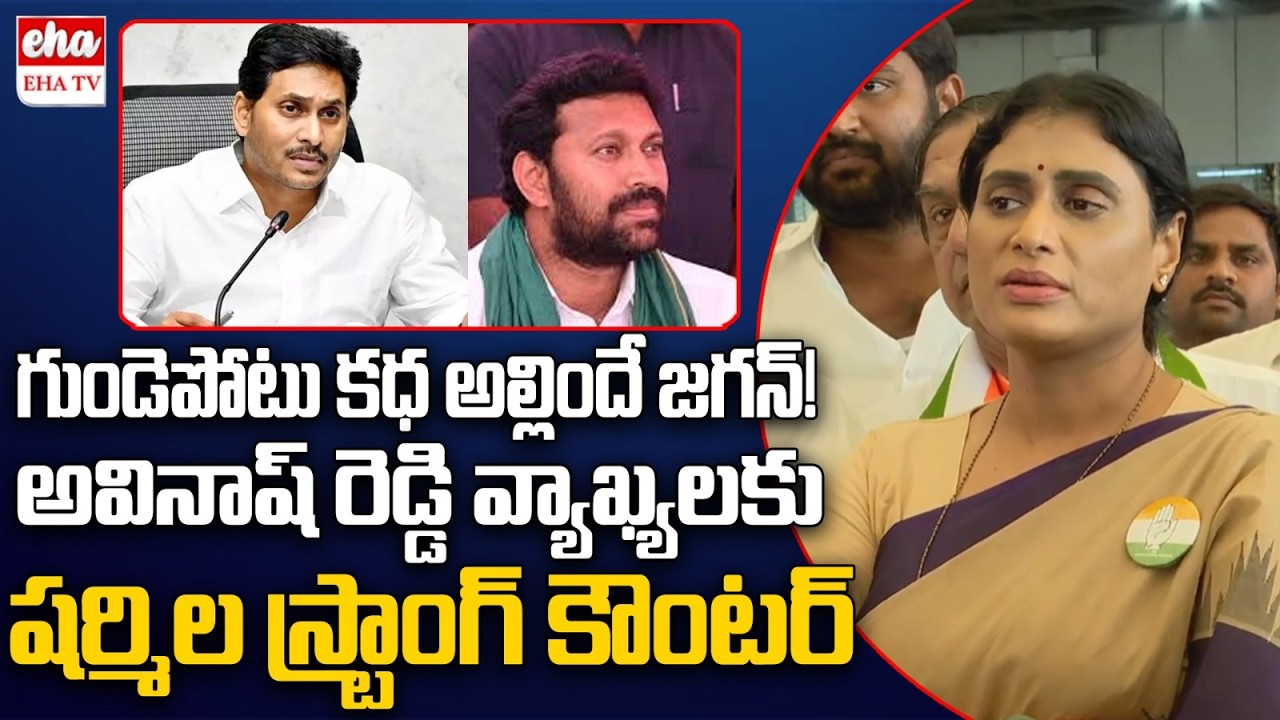 YS Sharmila Strong Counter to MP Avinash Reddy Comments Over YS Viveka Case | EHA TV
