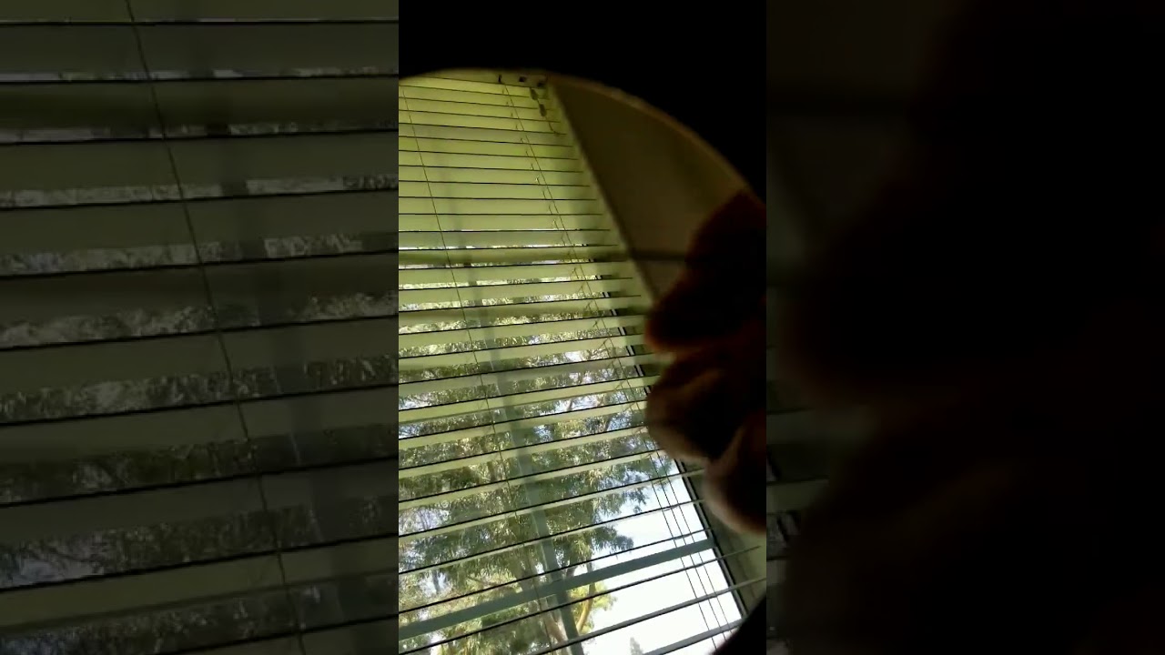 Ib Sim Neej guitar snippet