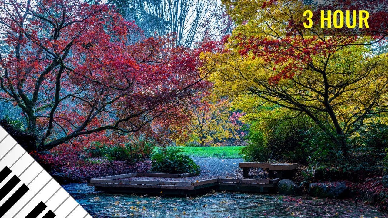 Relaksējo&scaron;a instrumentālā mūzika 3 stundas - dziedino&scaron;ā mūzika miega, darba, mācību 9