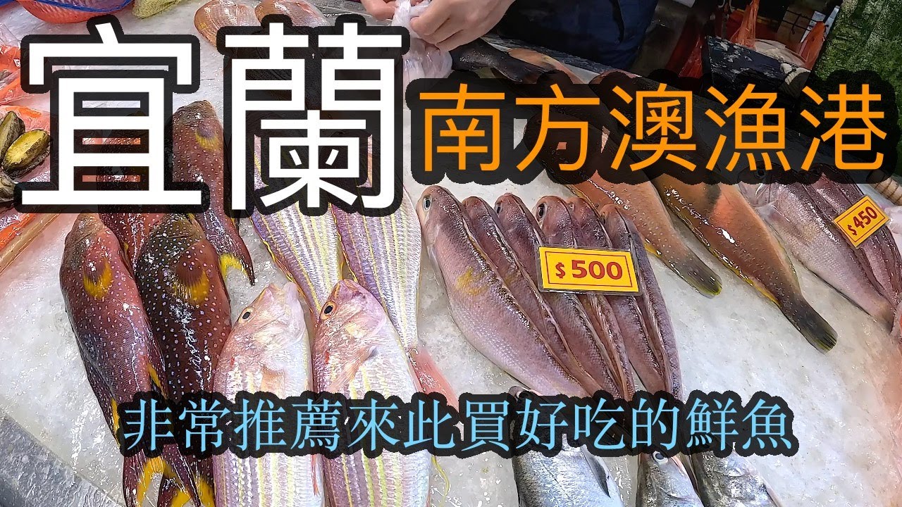 黑毛一公斤650元 冬天來南方澳漁港買魚正是時候 魚獲新鮮又漂亮【跟著藝術家來放風】158 中文字幕 #漁港 #美食 #宜蘭 #seafood #fish