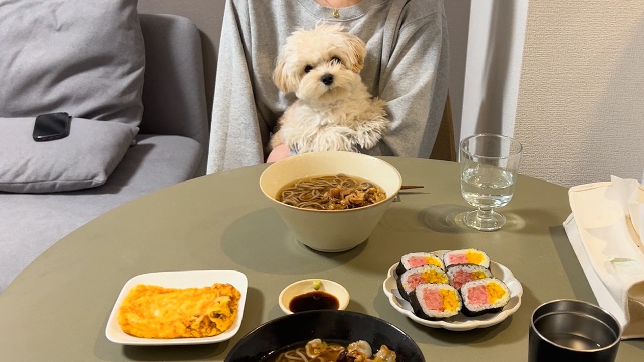 甘えん坊の子犬がいると食事はこうなります【マルプー】