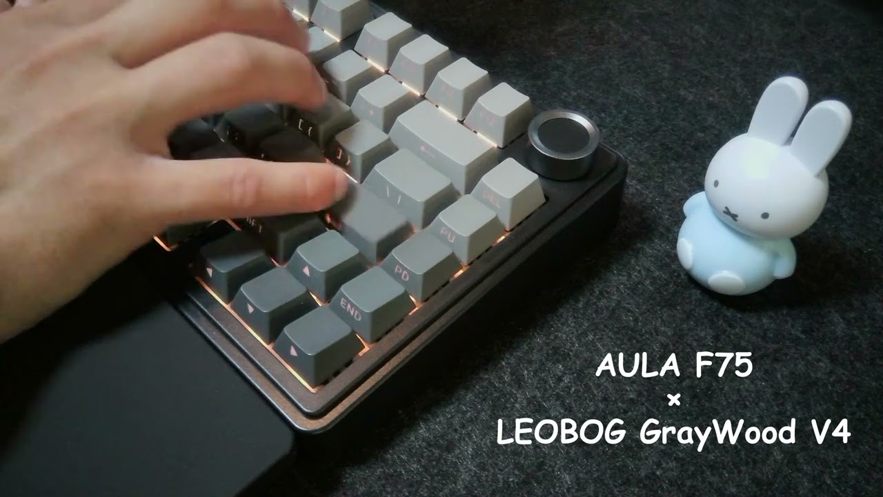 Typing Sound Test │ AULA F75 / GrayWood V4 │ #ASMR