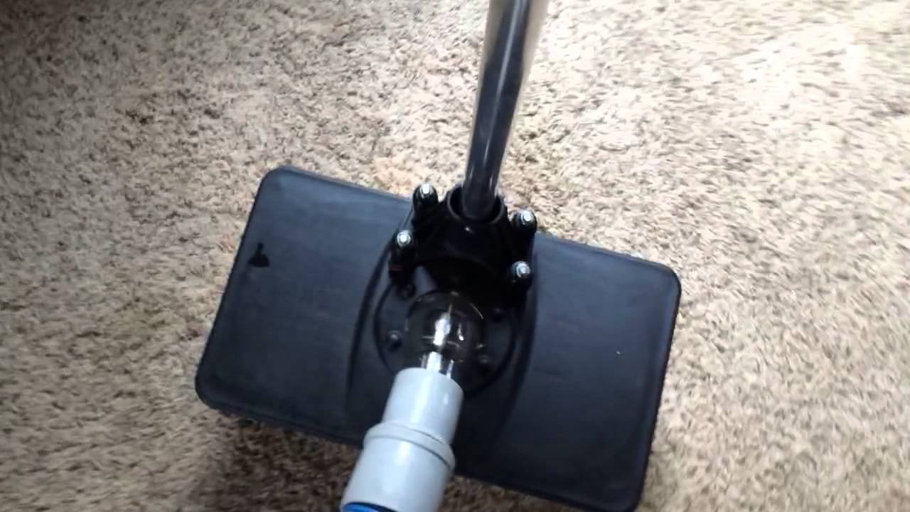 Best Way to Remove Pet Urine from Carpet and Carpet Pad
