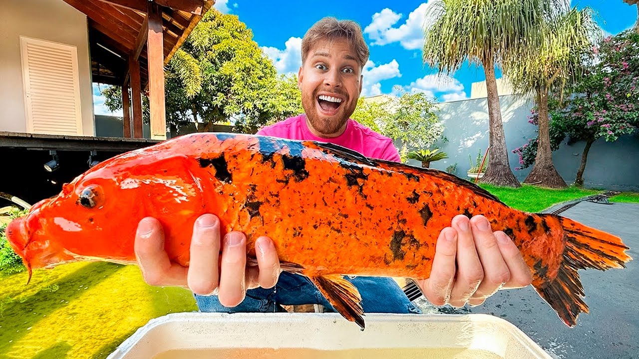 Comprei Uma Carpa GIGANTE Pro Meu Lago De Carpas 😍 Olha issooooo