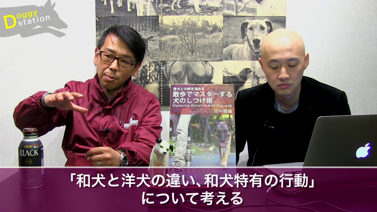 和犬特有の行動について：DOGGY STATION Vol.64/犬のしつけ・問題行動・犬の心理学・犬の行動学・ドッグトレーナー・ドッグビヘイビアリスト