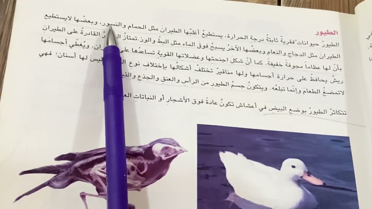الحيوانات الفقرية علوم الصف الخامس الابتدائي ص ٣٦ شرح مع ملخص واسئلة مراجعة الدرس . ست مريم
