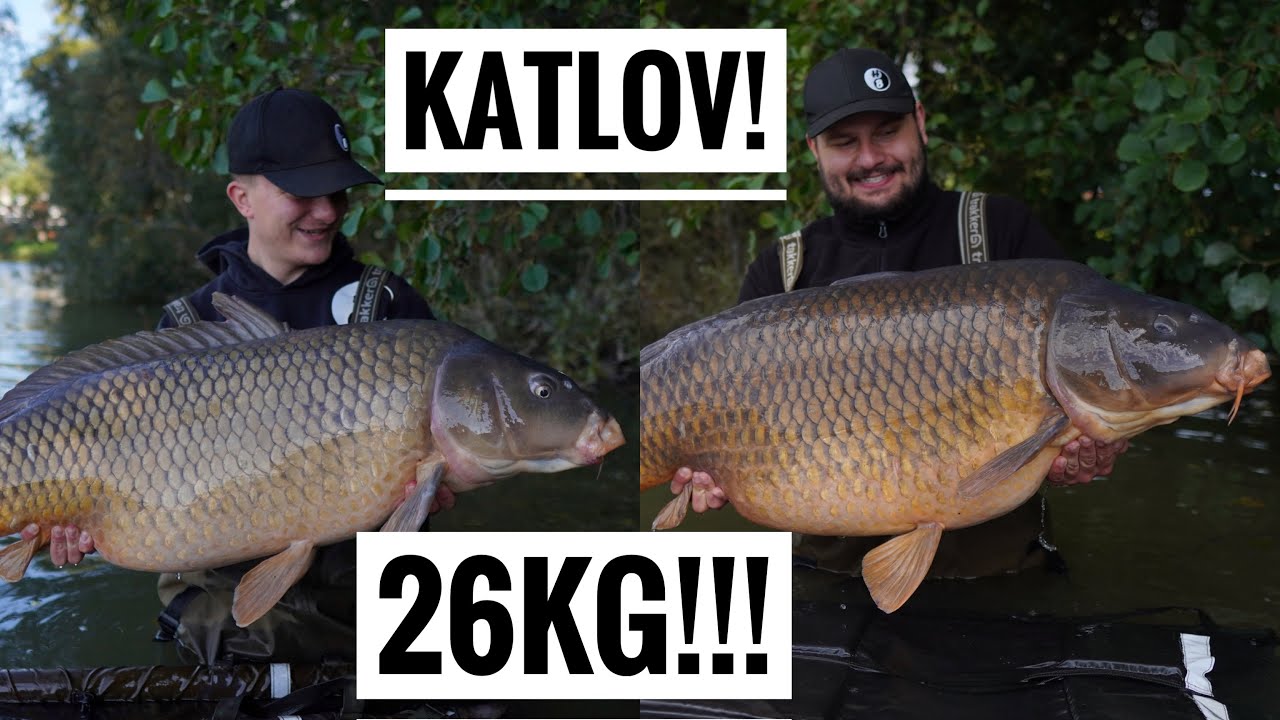 NAJSTARSZY KARP NA KATLOV??? - Wielkie pełnołuskie z Czech - Łowisko Katlov - Katlov Lake