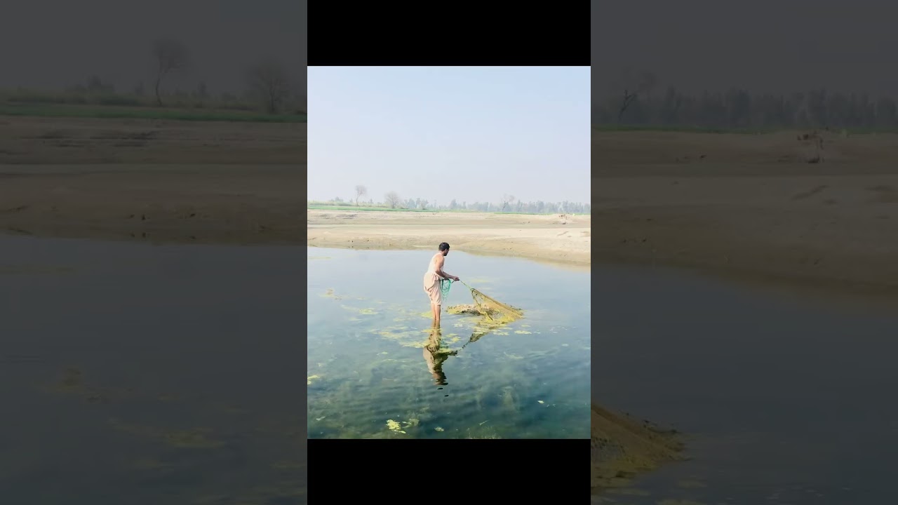 Riverside fishing with net🥰🐠#fishing #foryoutube #pindvloge #viralvideo #nicespot #trending 