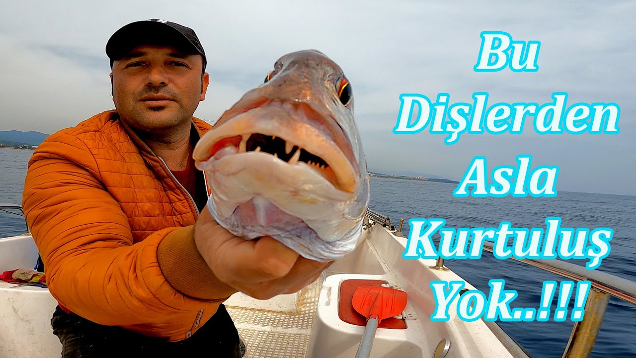 Balık Avı - Bu Canlı Yeme Avcı Balıklar Asla Dayanamıyor...!!! Hayatımın İlk Balığını Yakaladım..!!!