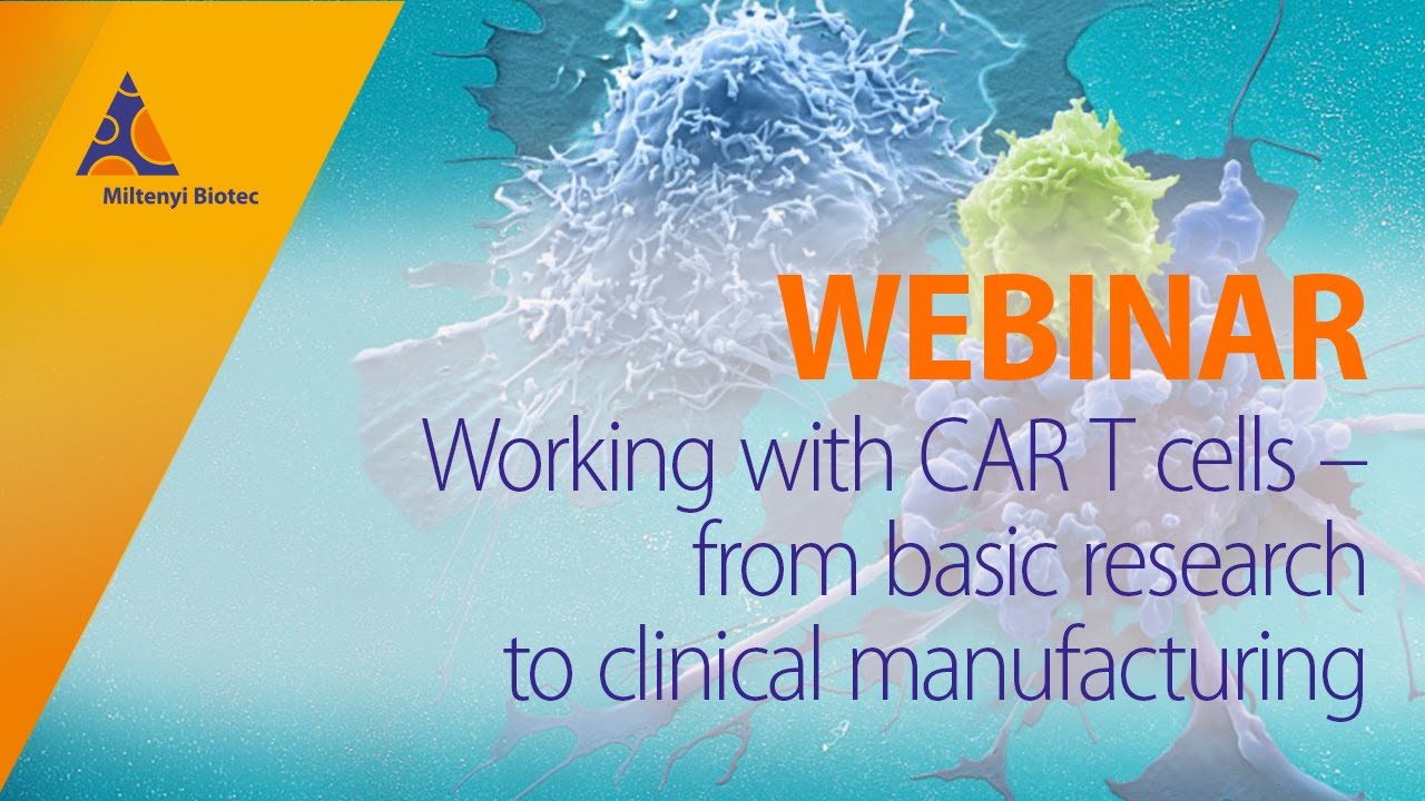 Working with CAR T cells – from basic research to clinical manufacturing [WEBINAR]