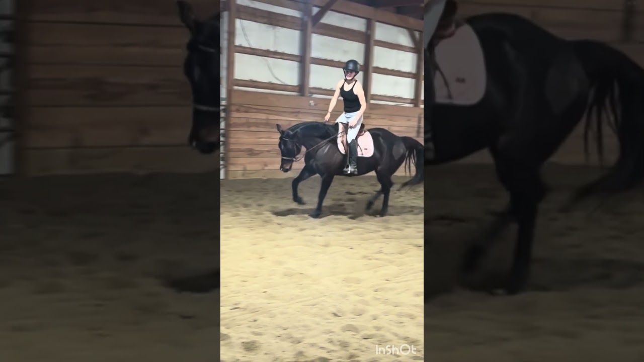 💗✨#horse #equestrianjourney #equestrian #horseriding #edit #viral #horses #fyp #fypシ #hunterjumping