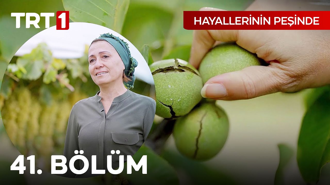 Hayallerinin Peşinde 41. Bölüm