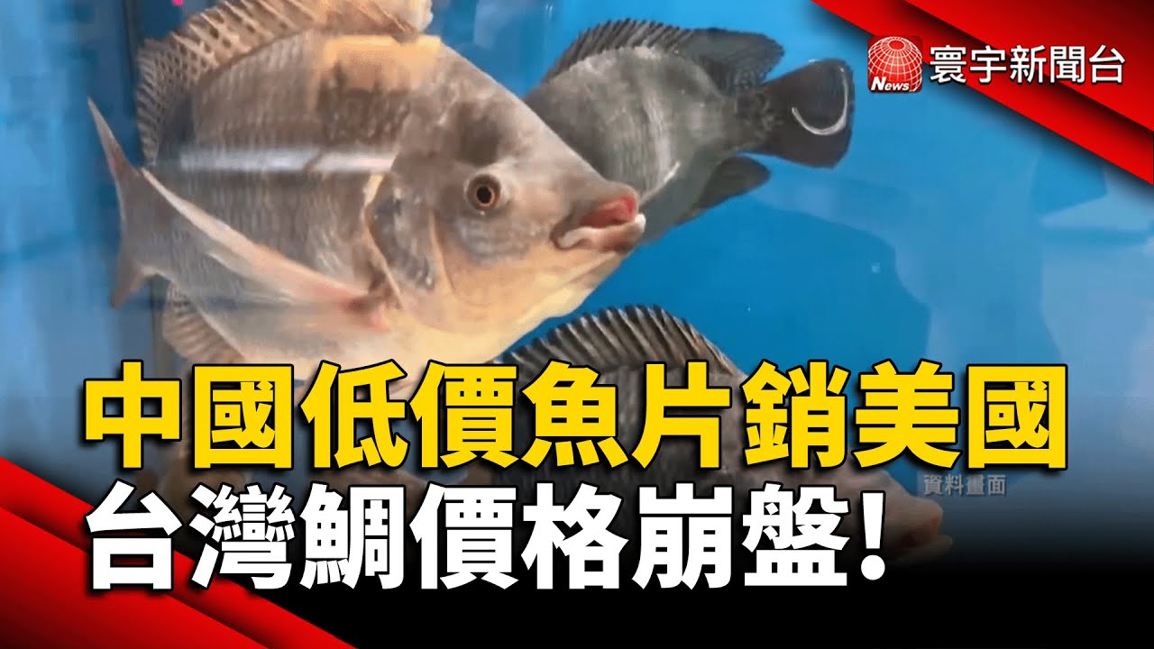 中國低價魚傾銷！台灣鯛慘淪「貿易戰砲灰」 美國市場進不去｜#寰宇財經新聞
