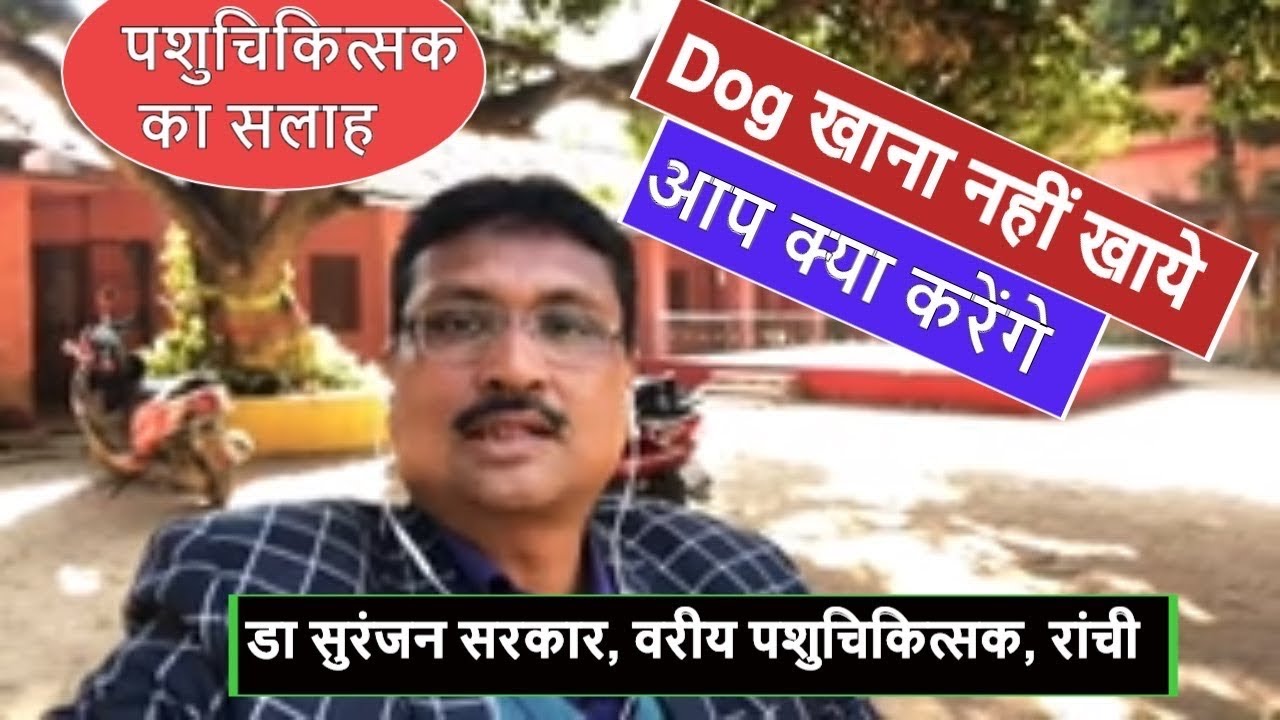 क्या आपका डॉग खाना नहीं खा रहा ? जानिए डा साहब क्या कहते हैं !