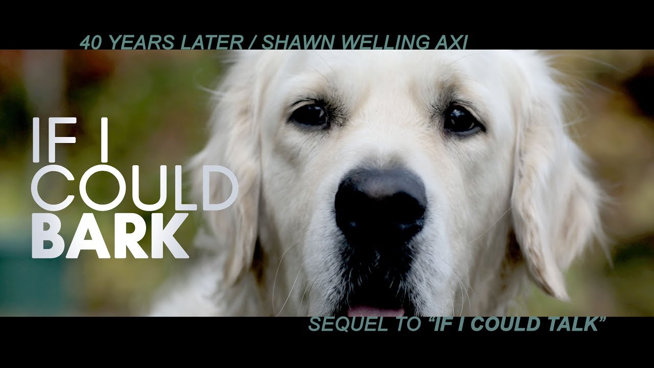 IF I COULD BARK / BEST DOG FILM / OFFICIAL VIDEO