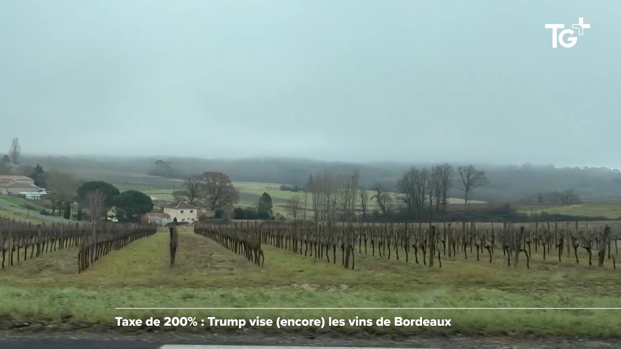 JT DES TERRITOIRES  - 23/01/26 - Taxes de Donald Trump